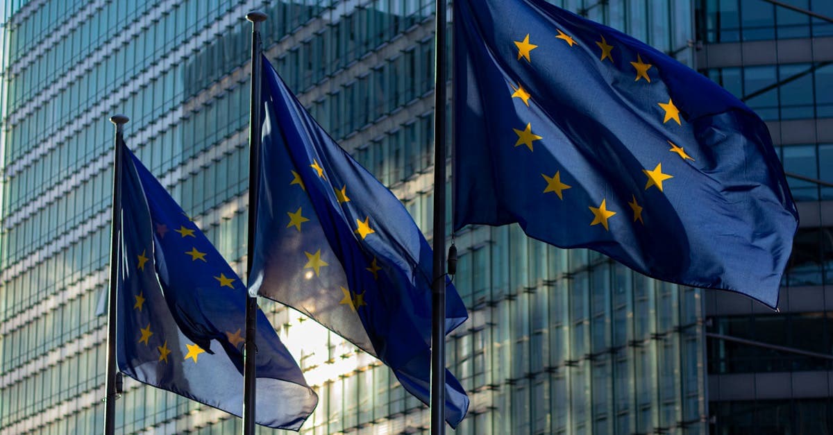 EU Digital Services Act Is Reshaping Adult Content Platforms —