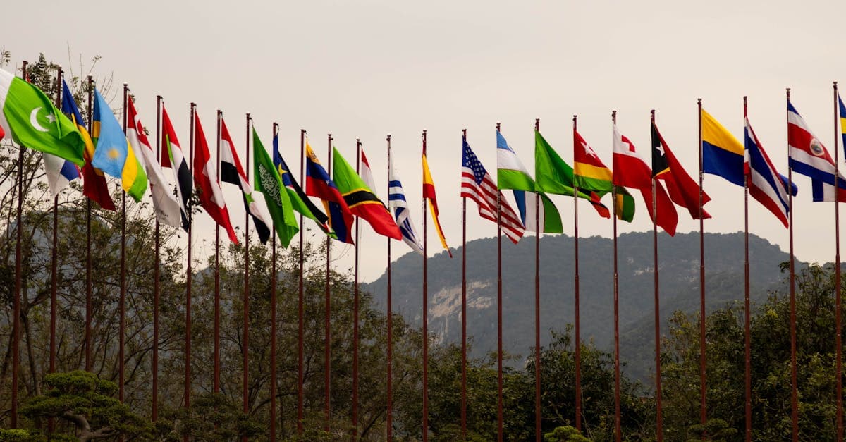 How International Tax Treaties Affect Creator Income: Withholding Rates by Country