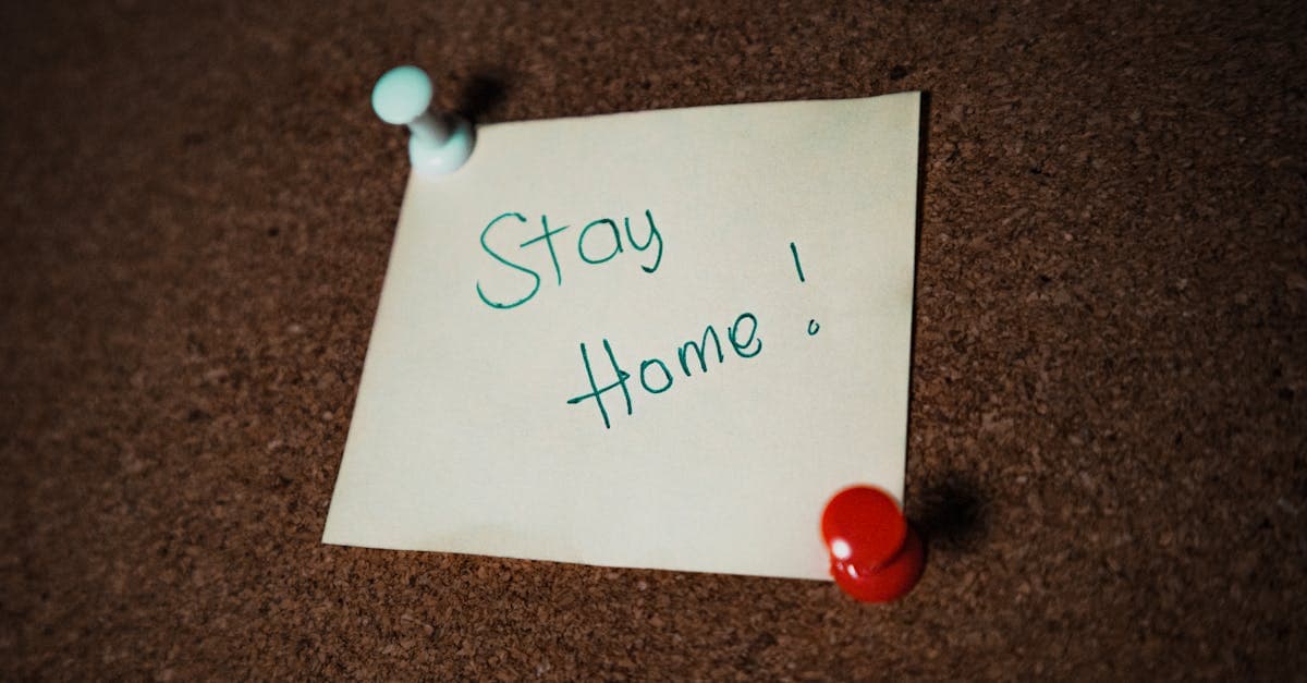 OnlyFans Pinned Post Examples: What to Pin for Conversions, Tips, and Renewals